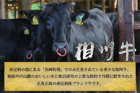 【国産希少牛】 相州牛（すき焼き用） 500g 南足柄ブランド 国産牛 肉 ふるさと納税【すき焼き 牛肉 お肉 ブランド牛 神奈川県 南足柄市 】