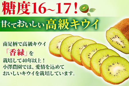 希少キウイフルーツ 「香緑」。Lサイズ 24個入り 糖度16度。甘くておいしい【 高級ブランド】＜出荷時期：2025年12月15日出荷開始～2026年1月15日出荷終了＞【キウイ　フルーツ 神奈川県 南足柄市 】