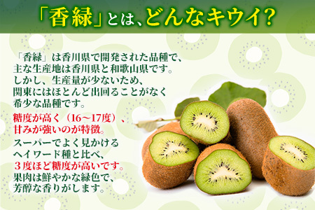 希少キウイフルーツ 「香緑」。Lサイズ 24個入り 糖度16度。甘くておいしい【 高級ブランド】＜出荷時期：2025年12月15日出荷開始～2026年1月15日出荷終了＞【キウイ　フルーツ 神奈川県 南足柄市 】