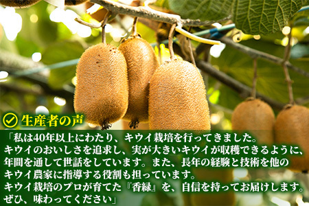 希少キウイフルーツ 「香緑」。Lサイズ 24個入り 糖度16度。甘くておいしい【 高級ブランド】＜出荷時期：2025年12月15日出荷開始～2026年1月15日出荷終了＞【キウイ　フルーツ 神奈川県 南足柄市 】