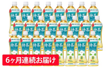 【6ヶ月定期便】特茶ジャスミン(特定保健用食品)500ml×24本