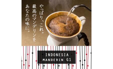 味が選べるスペシャルティコーヒー（浅煎り～深煎り7段階/インドネシア400g）【豆】 浅煎:酸味がメイン(2:ﾐﾃﾞｨｱﾑ)