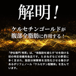 伊右衛門 特茶 500ml × 48本(2ケース) サントリー 特定保健用食品 トクホ お茶 緑茶 ペットボトル 500 茶 日本茶 国産 トクホ茶 飲料 飲み物 ドリンク ペットボトル飲料 箱 ケース 脂肪 体脂肪 減らす 神奈川 神奈川県 綾瀬市