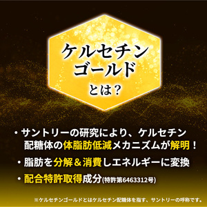 伊右衛門 特茶 500ml × 48本(2ケース) サントリー 特定保健用食品 トクホ お茶 緑茶 ペットボトル 500 茶 日本茶 国産 トクホ茶 飲料 飲み物 ドリンク ペットボトル飲料 箱 ケース 脂肪 体脂肪 減らす 神奈川 神奈川県 綾瀬市