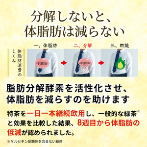 伊右衛門 特茶 500ml × 48本(2ケース) サントリー 特定保健用食品 トクホ お茶 緑茶 ペットボトル 500 茶 日本茶 国産 トクホ茶 飲料 飲み物 ドリンク ペットボトル飲料 箱 ケース 脂肪 体脂肪 減らす 神奈川 神奈川県 綾瀬市