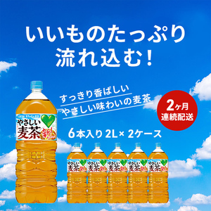 麦茶 定期便 2ヶ月 やさしい麦茶 2L 12本 (6本×2箱) セット 詰め合わせ お茶 サントリー GREEN DA・KA・RA グリーンダカラ カフェインゼロ ノンカフェイン ペットボトル 茶 飲み物 ドリンク 飲料 神奈川 神奈川県 綾瀬市 定期 2回