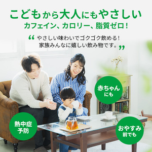 麦茶 定期便 2ヶ月 やさしい麦茶 2L 12本 (6本×2箱) セット 詰め合わせ お茶 サントリー GREEN DA・KA・RA グリーンダカラ カフェインゼロ ノンカフェイン ペットボトル 茶 飲み物 ドリンク 飲料 神奈川 神奈川県 綾瀬市 定期 2回
