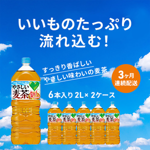 お茶 定期便 3ヶ月 GREEN DA・KA・RA やさしい麦茶 2L × 12本 2ケース 麦茶 定期 3回