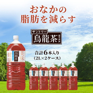 サントリー烏龍茶OTPP（機能性表示食品）2L×6本 2箱 ペットボトル