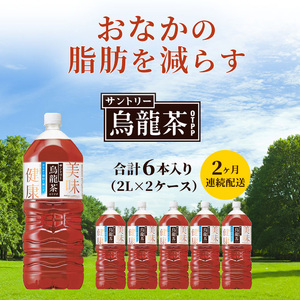 烏龍茶 定期便 2ヶ月 サントリー烏龍茶 OTPP 2L 12本 (6本×2箱) セット 詰め合わせ 機能性表示食品 お茶 サントリーウーロン茶 サントリー ペットボトル 中国茶 茶 脂肪を減らす 健康茶 健康 飲み物 ドリンク 飲料 神奈川 神奈川県 綾瀬市 定期 2回