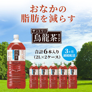 定期便 3ヶ月 サントリー烏龍茶OTPP（機能性表示食品）2L×6本 2箱 ペットボトル