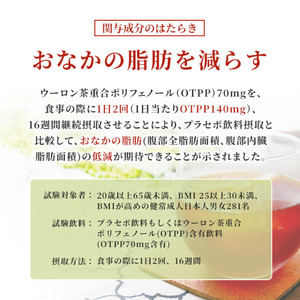 定期便 3ヶ月 サントリー烏龍茶OTPP（機能性表示食品）2L×6本 2箱 ペットボトル