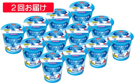 カラダ強くするヨーグルト1セット12個入り×2回お届け