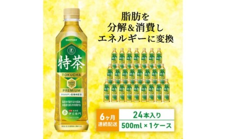 6ヶ月定期便 サントリー緑茶 伊右衛門 特茶 特定保健用食品 500ml 24本 神奈川県綾瀬市 ふるさと納税サイト ふるなび