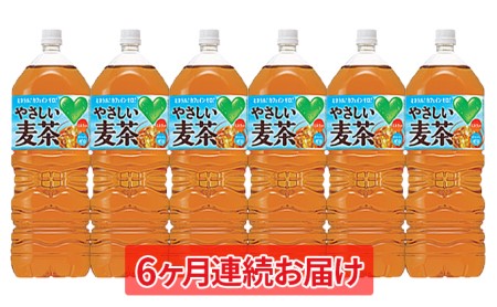 6ヶ月連続お届け Green Da Ka Ra やさしい麦茶2l 6本 神奈川県綾瀬市 ふるさと納税サイト ふるなび