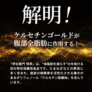 お茶 定期便 3ヶ月 サントリー 緑茶 伊右衛門 特茶（特定保健用食品）500ml×24本 ペットボトル