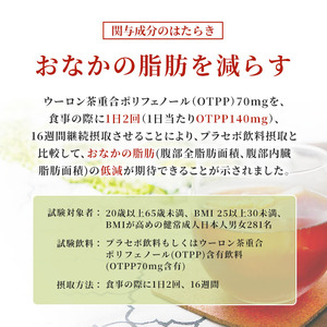 サントリー烏龍茶 OTPP 2L 6本 セット 詰め合わせ 機能性表示食品 お茶 サントリーウーロン茶 サントリー 烏龍茶 ウーロン茶 ペットボトル 中国茶 茶 脂肪を減らす 健康茶 健康 飲み物 ドリンク 飲料 神奈川 神奈川県 綾瀬市