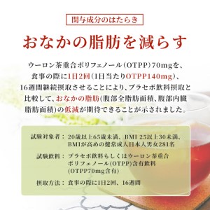 烏龍茶 定期便 3ヶ月 烏龍茶OTPP 2L × 6本 サントリー 機能性表示食品 お茶 ペットボトル 茶 飲料 飲み物 ドリンク ペットボトル飲料 箱 ケース 備蓄 ウーロン茶 脂肪 ポリフェノール 常温 常温保存 神奈川 神奈川県 綾瀬市 定期 3回