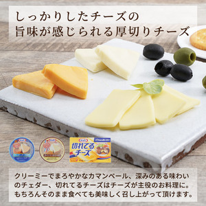 チーズセット 定期便 3ヶ月 クラフトチーズ バラエティ 10個 セット