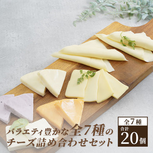 チーズセット 定期便 3ヶ月 クラフトチーズ バラエティ 20個 セット