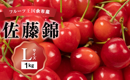 さくらんぼの王様 佐藤錦 500g×2パック 合計1kg(L) 【2024年発送先行予約】 余市 北海道 フルーツ王国 さくらんぼ サクランボ 桜桃 佐藤錦 余市産さくらんぼ  小分けさくらんぼ  人気さくらんぼ ニトリ _Y074-0085