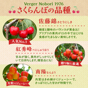 【2026年産 先行予約】＜北海道余市産＞さくらんぼ「紅秀峰」（M～2Lサイズバラ詰め）500g×2パック_Y103-0054