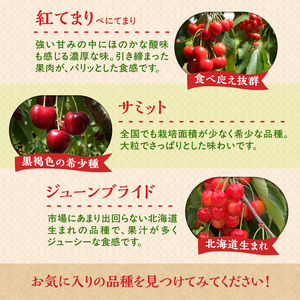 【2026年産 先行予約】＜北海道余市産＞さくらんぼ「紅秀峰」（M～2Lサイズバラ詰め）500g×2パック_Y103-0054