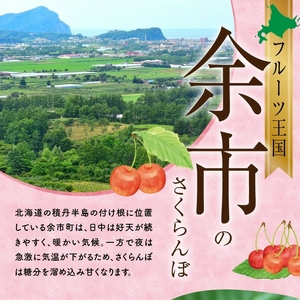 フルーツ王国余市産「南陽（3L）」500g×2パック【2025年発送先行予約】余市 北海道 フルーツ王国 さくらんぼ サクランボ 桜桃 南陽 小分けさくらんぼ  人気さくらんぼ ニトリ  余市さくらんぼ_Y074-0117