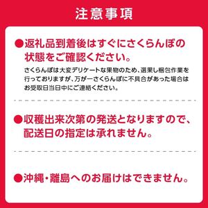 《2026年産先行受付》北海道産さくらんぼ【南陽】2L～3Lバラ詰め 180g×4 サクランボ 果物 フルーツ 季節限定_Y074-0144