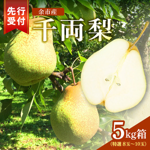 【2026年9月下旬以降発送】千両梨 5kg箱(10玉)北海道産 余市町産 シャキシャキとした食感とサッパリとした甘みが特徴 季節限定 千両梨 季節の味覚 5kg 箱 梨 ほぼ余市町でしか生産されていない 果物 フルーツ 贈り物 ギフト フルーツギフト お取り寄せ 北海道 余市町産 送料無料_Y015-0036