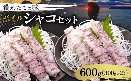 獲れたての味！ ボイルシャコ 300g ×  2 パック 北海道産シャコ 甲殻類 魚介類 しゃこ 冷凍シャコ 蝦蛄 シャコエビ 北海道 余市町_Y022-0022