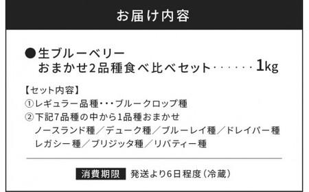 【先行予約：2025年7月25日以降発送】青果ブルーベリーおまかせ２品種食べ比べセット1kg（500g×2パック）【アイケイファーム余市】余市のブルーベリー　北海道産ブルーベリー　国産ブルーベリー　生ブルーベリー _Y111-0004