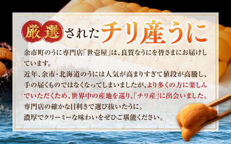 世壱屋 御雲丹100g（チリ産） 3pc_Y038-0105