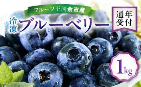 フルーツ王国余市産 冷凍ブルーベリー 1㎏ 【余市のブルーベリー】 ニトリ観光果樹園の冷凍ブルーベリー 道産冷凍ブルーベリー 余市産冷凍ブルーベリー _Y074-0093