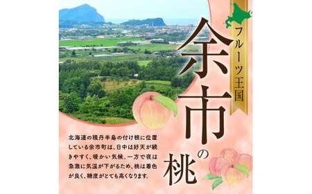 【先行受付：2025年8月下旬以降発送】フルーツ王国余市産「桃」規格外品3kg【ニトリ観光果樹園】_Y074-0123