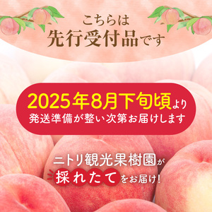 【先行受付：2025年8月下旬以降発送】フルーツ王国余市産「桃」規格外品3kg【ニトリ観光果樹園】_Y074-0123