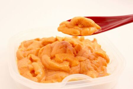 北海道産 世壱屋塩水ウニ(バフンウニ)100g_Y038-0140