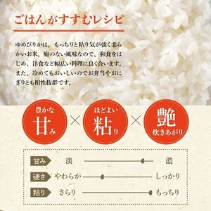 （無洗米5Kg）ホクレンゆめぴりか【定期便6回】_Y010-0612