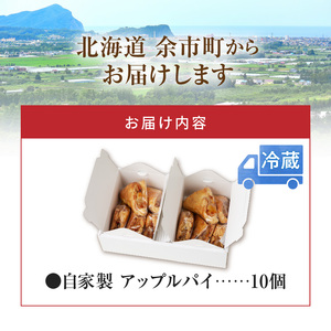 ニトリ果樹園 自家製 アップルパイ 10個_Y074-0092