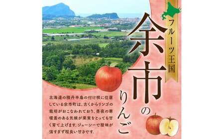 【先行予約：2024年11月25日～2025年1月31日発送】フルーツ王国余市産「ふじ」訳あり規格外品5kg【ニトリ観光果樹園】_Y074-0103