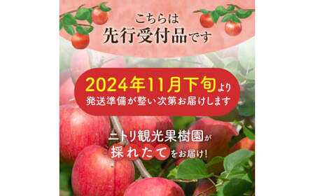 【先行予約：2024年11月25日～2025年1月31日発送】フルーツ王国余市産「ふじ」訳あり規格外品5kg【ニトリ観光果樹園】_Y074-0103