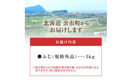 【先行予約：2024年11月25日～2025年1月31日発送】フルーツ王国余市産「ふじ」訳あり規格外品5kg【ニトリ観光果樹園】_Y074-0103