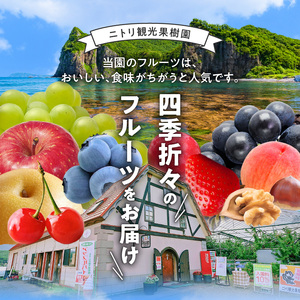 【先行予約：2026年9月上旬以降発送】フルーツ王国余市産「プルーン」 400g×4パック【ニトリ観光果樹園】_Y074-0159