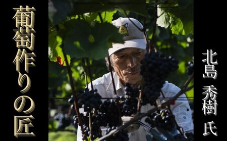 葡萄作りの匠「北島秀樹」ケルナー2020セット_Y034-0092