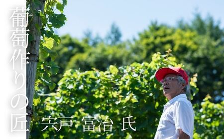 【ワイン】葡萄作りの匠「北島秀樹」&「宍戸富二」ツヴァイゲルト飲み比べセット【余市】_Y034-0093