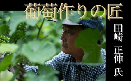 【余市】葡萄作りの匠 木樽熟成ワインセット【北海道】_Y034-0095