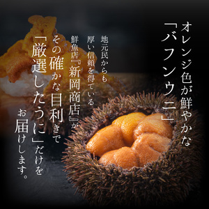 【2026年夏!新岡商店より発送】塩水バフンウニ(100g)【銀座の高級寿司店御用達】 塩水ウニ発祥の地 高級ウニ 高級雲丹 高級うに バフンウニ 赤うに 赤ウニ 目利き 北海道産ウニ 余市産ウニ _Y037-0340