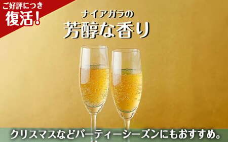 セコマ 北海道余市産 ナイアガラソーダ 500ml 24本入　炭酸飲料_Y020-0675