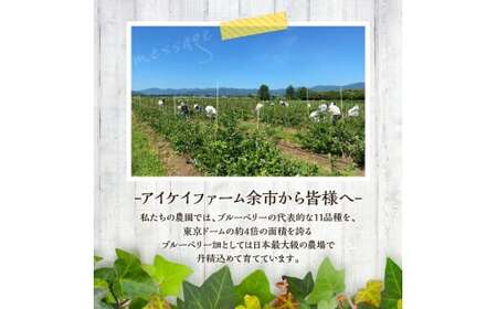 冷凍ブルーベリー 500g×2袋（チャック付き袋）【余市のブルーベリー】 北海道産ブルーベリー 余市産ブルーベリー 冷凍ブルーベリー アイケイファームのブルーベリー 小分け冷凍ブルーベリー_Y111-0005