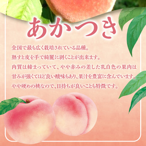 【2026年産 先行予約】＜北海道余市産＞桃「あかつき」3kg（12～20玉）_Y103-0059